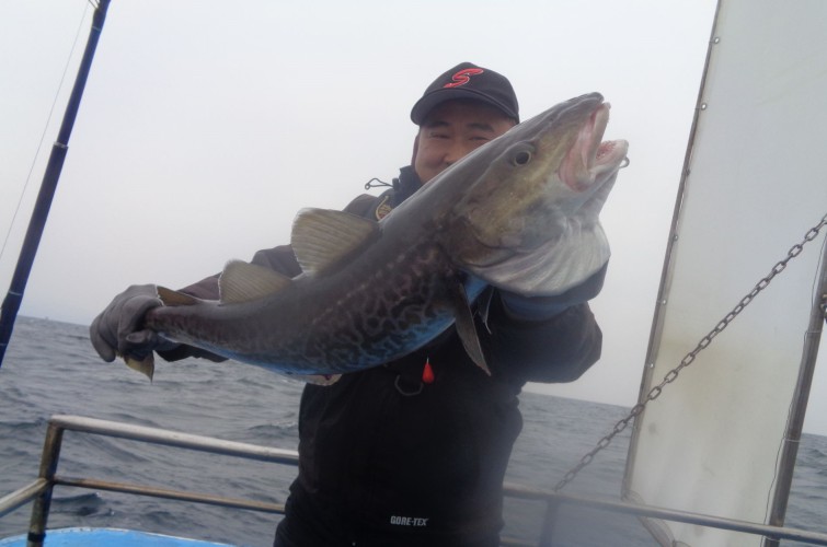 동해 장호항 / 임원항 왕대구지깅